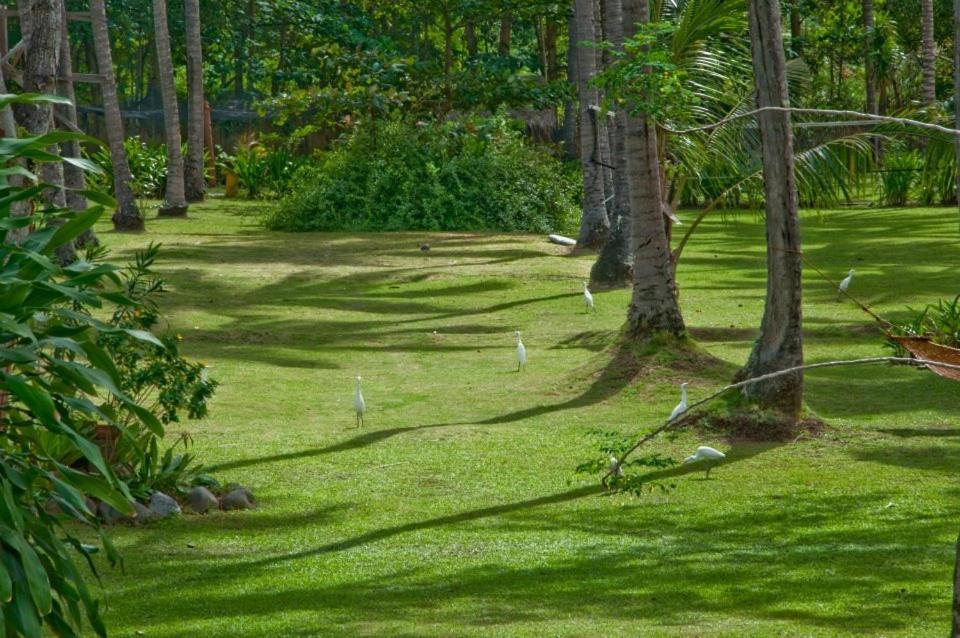 Crystal Paradise Resort Spa & Winery Narra Εξωτερικό φωτογραφία