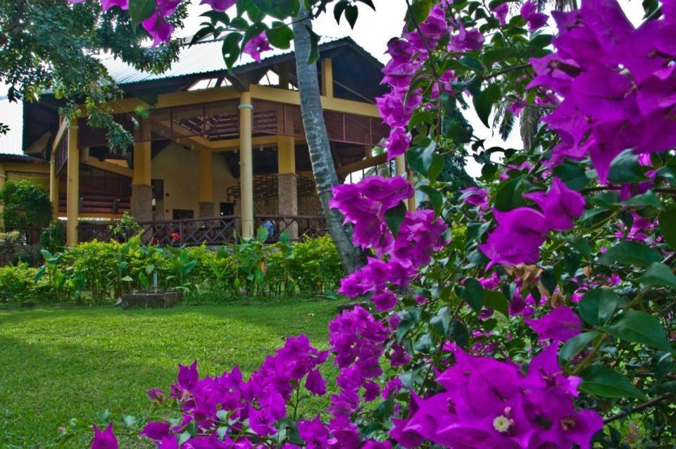 Crystal Paradise Resort Spa & Winery Narra Εξωτερικό φωτογραφία